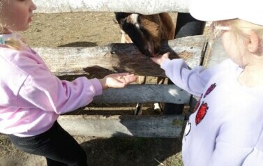 DSC07146